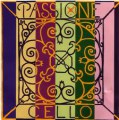 Passione