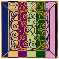 La Passione Solo