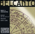 Muta Belcanto