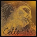 Sol Evah Pirazzi GOLD cello